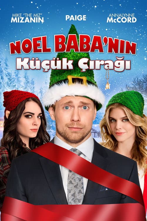 Noel Baba'nın Küçük Çırağı afişi