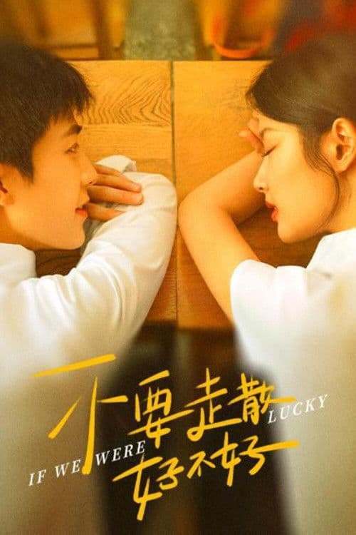 不要走散好不好 afişi