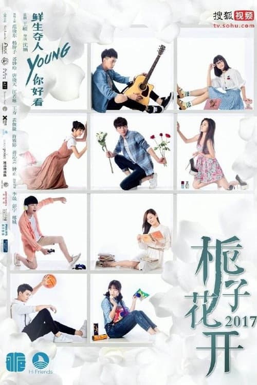 栀子花开 afişi
