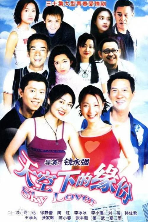 天空下的缘分 afişi