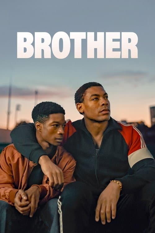 Brother afişi