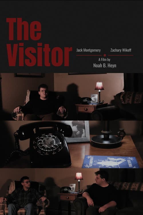 The Visitor afişi