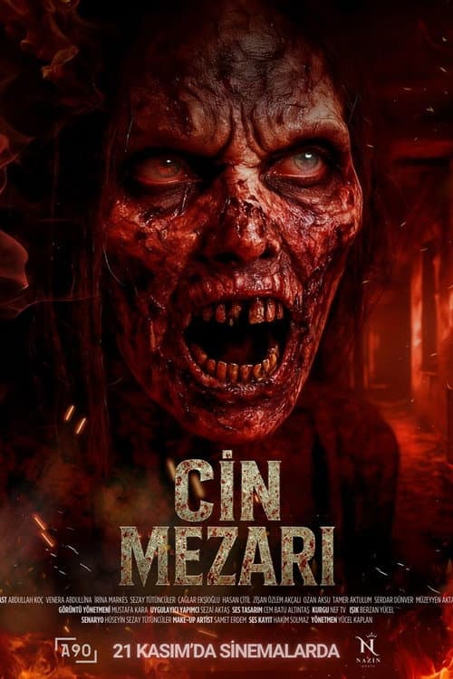 Cin Mezarı afişi