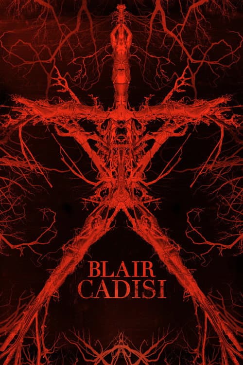 Blair Cadısı afişi