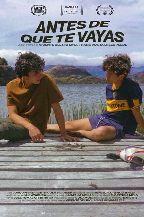 Antes de que te vayas afişi