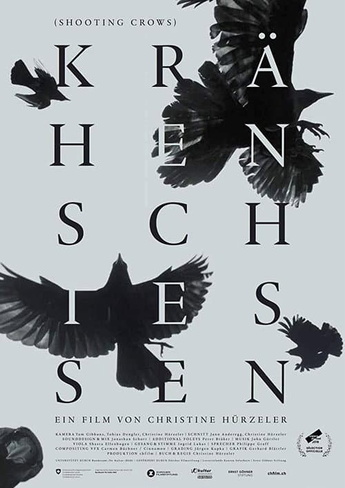 Krähen schiessen afişi