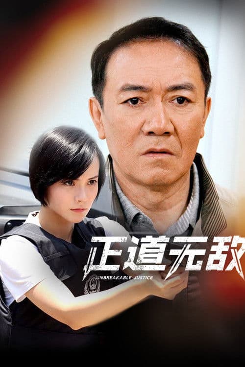 正道无敌 afişi