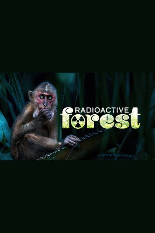 Radioactive Forest: 10 Years After afişi