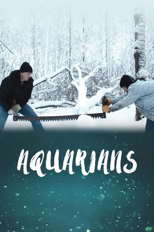 Aquarians afişi