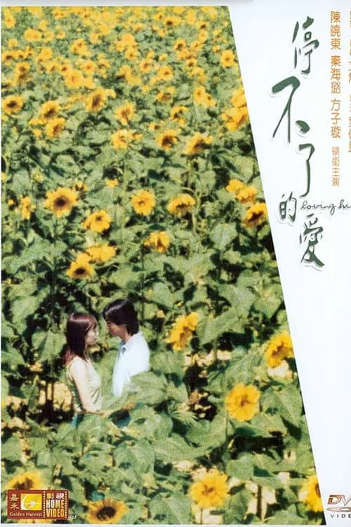 停不了的爱 afişi