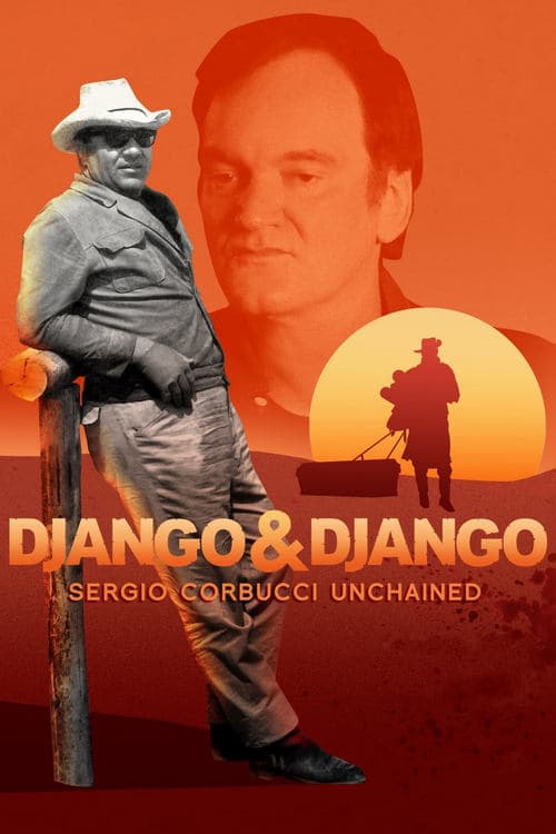 Django ve Django afişi