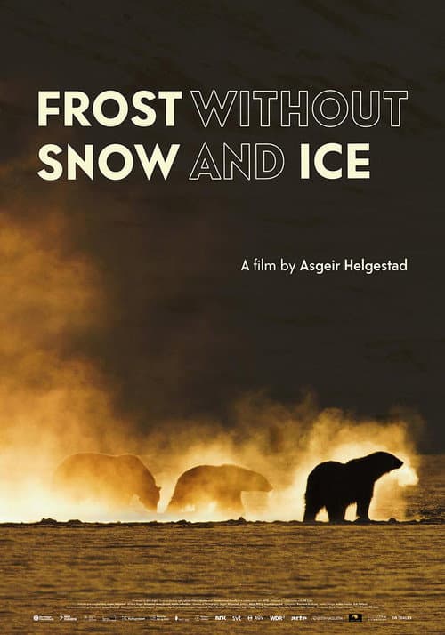 Frost uten Snø og Is afişi