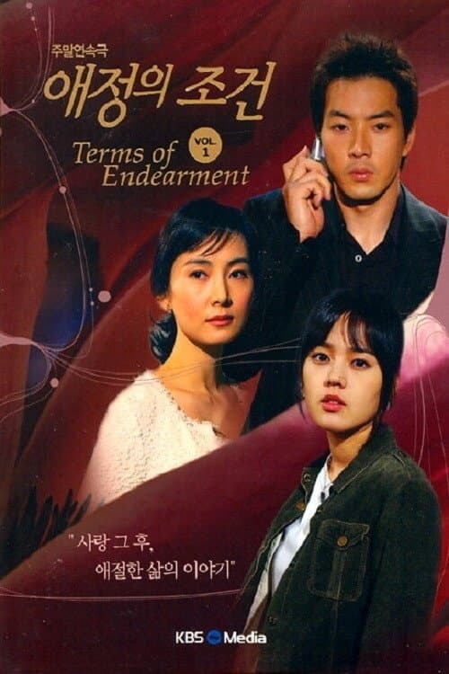애정의 조건 afişi
