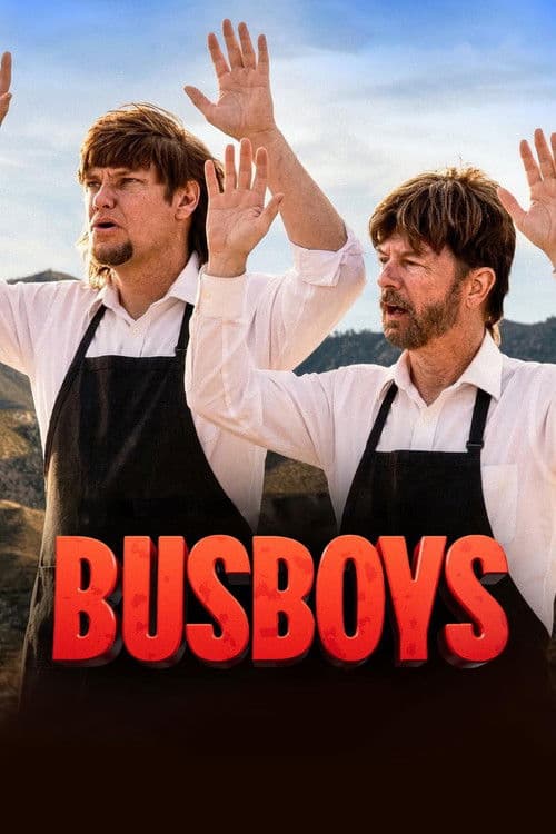 Busboys afişi