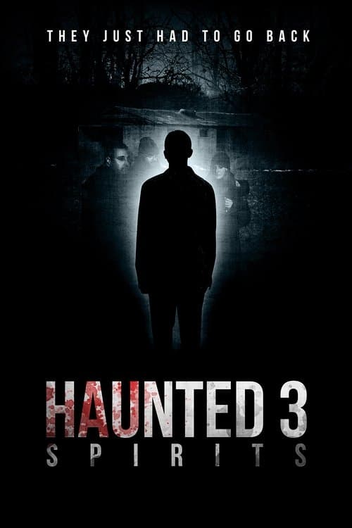 Haunted 3: Spirits afişi