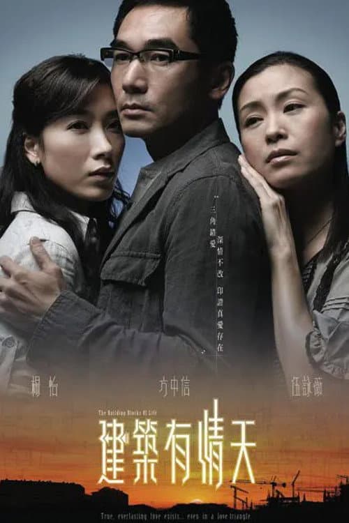 建築有情天 afişi