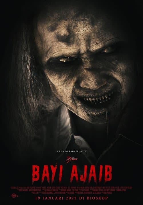 Bayi Ajaib afişi