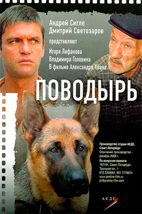 Поводырь afişi