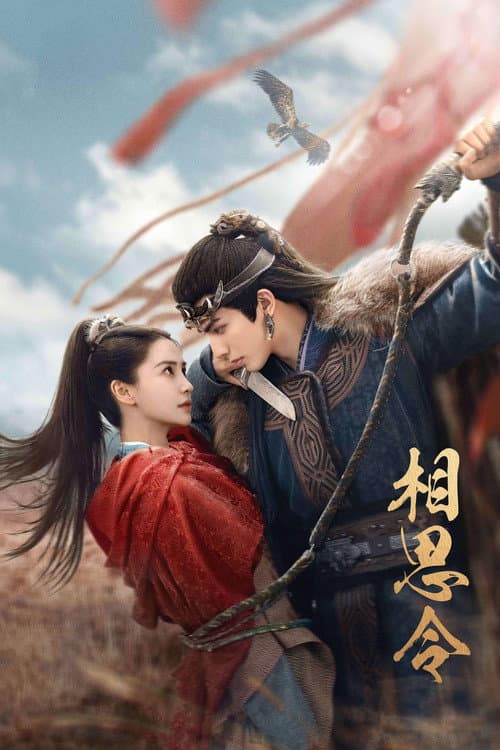 相思令 afişi