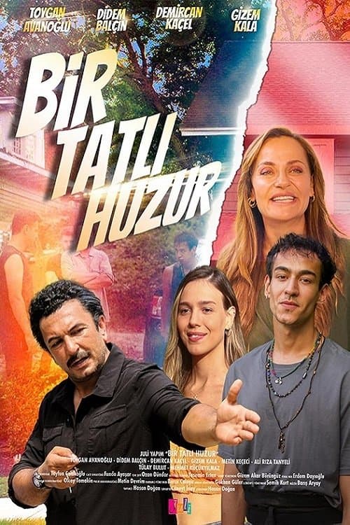 Bir Tatlı Huzur afişi