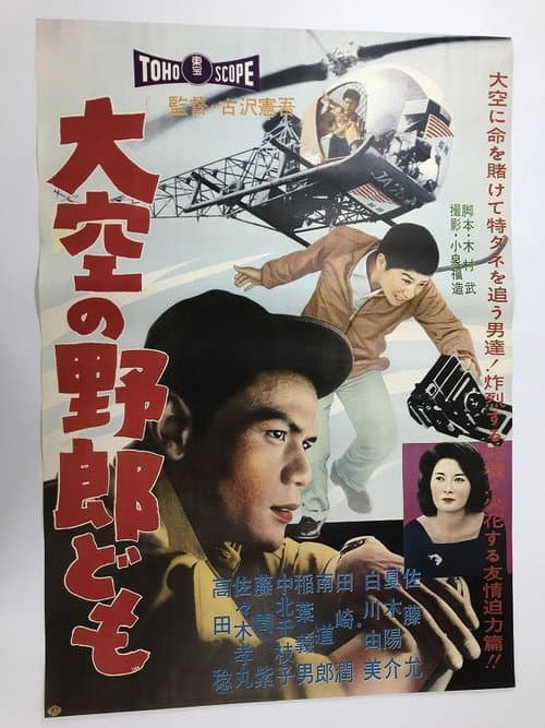 大空の野郎ども afişi