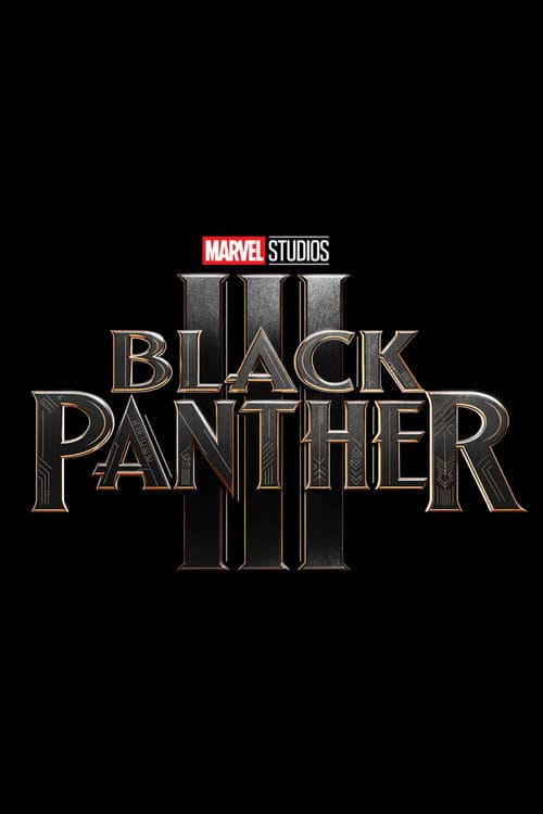 Black Panther 3 afişi