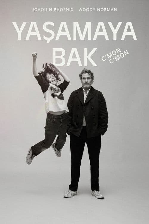 Yaşamaya Bak afişi