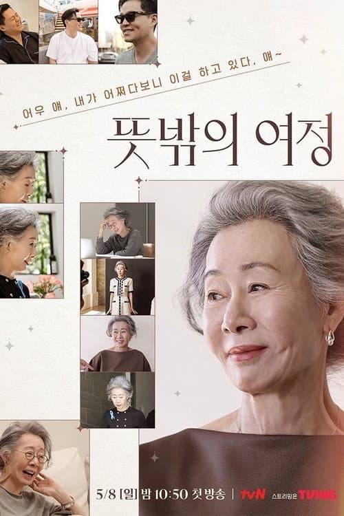 뜻밖의 여정 afişi