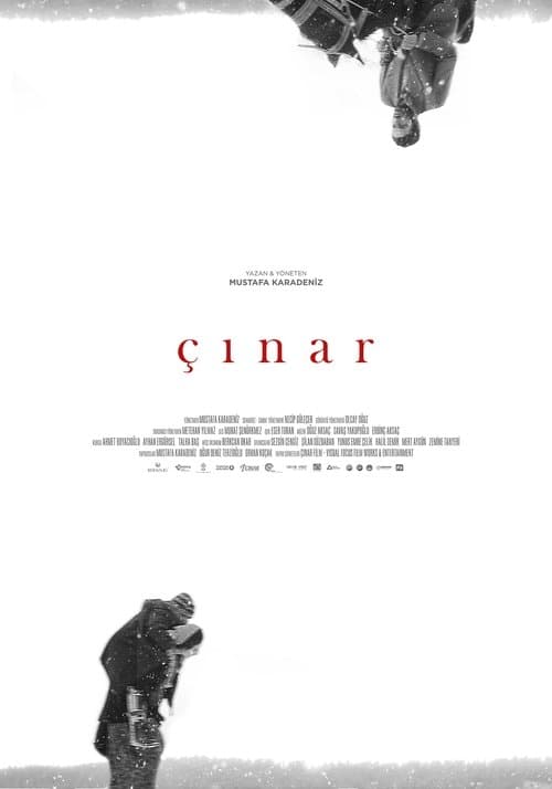 Çınar afişi