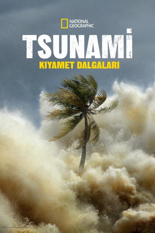 Tsunami: Kıyamet Dalgaları afişi