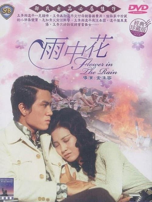 雨中花 afişi
