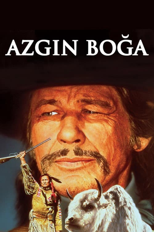 Azgın Boğa afişi