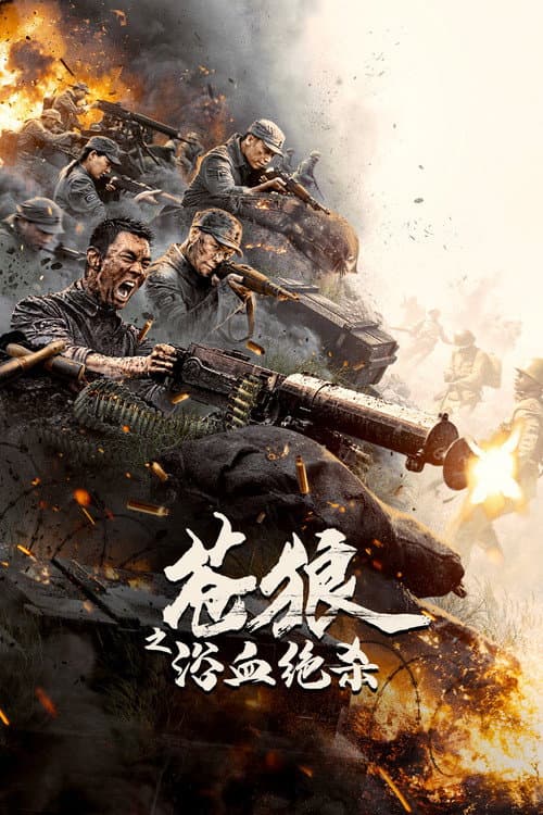 苍狼之浴血绝杀 afişi