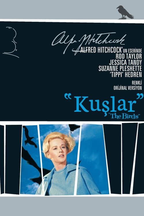 Kuşlar afişi
