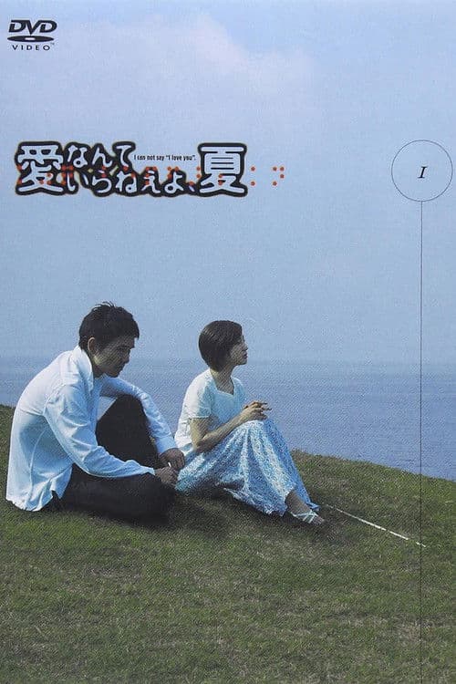 愛なんていらねえよ、夏 afişi