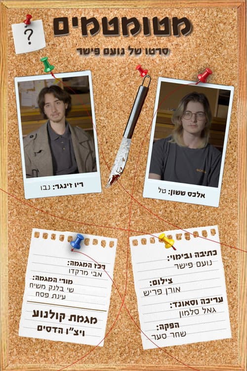 מטומטמים afişi