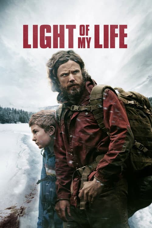 Light of My Life afişi