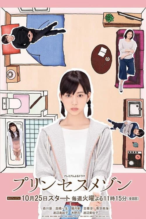 プリンセスメゾン afişi