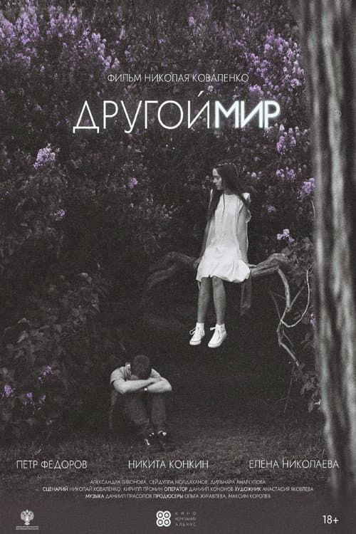 Другой мир afişi