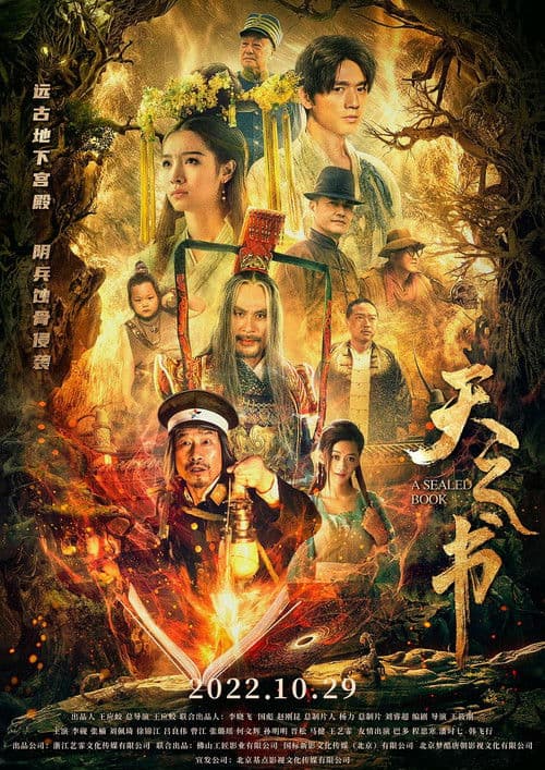 天之书 afişi