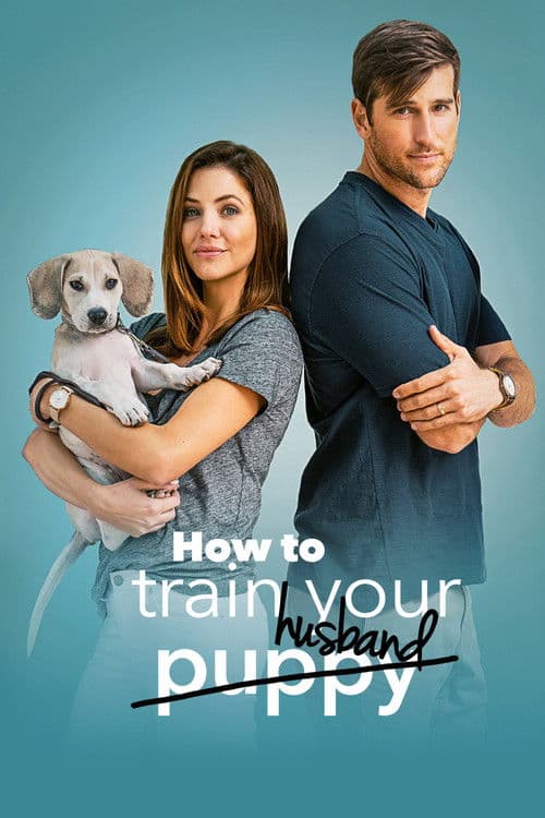 How to Train Your Husband afişi