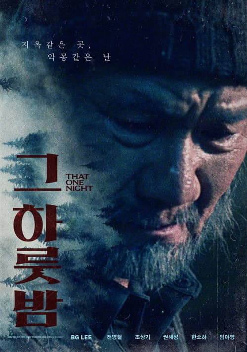 그 하룻밤 afişi
