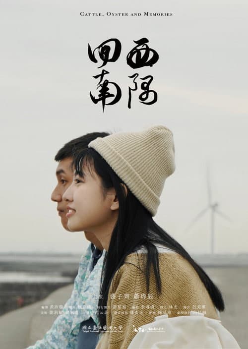 回西南隅 afişi