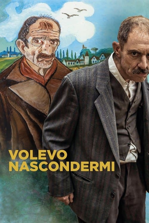 Volevo nascondermi afişi