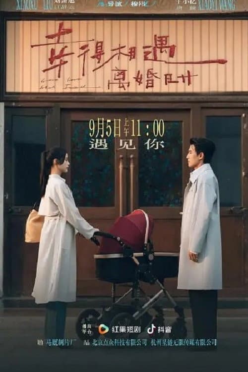 幸得相遇离婚时 afişi