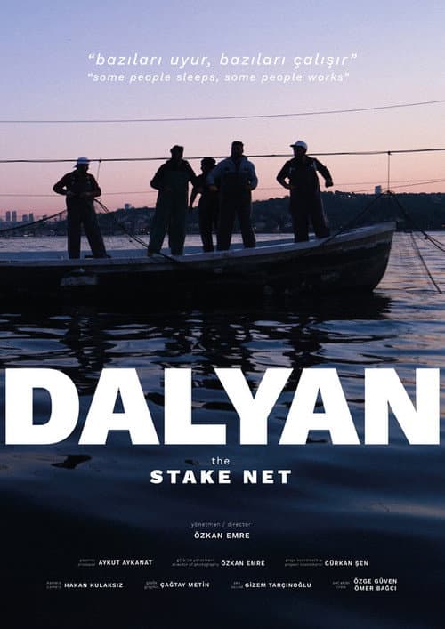 Dalyan afişi