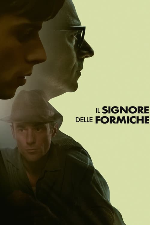 Il signore delle formiche afişi