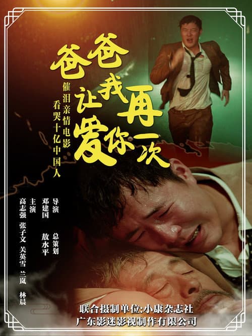 爸爸，让我再爱你一次 afişi