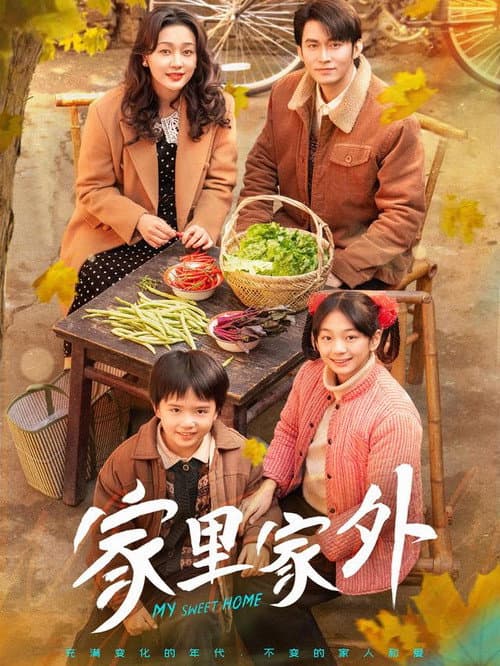 家里家外 afişi