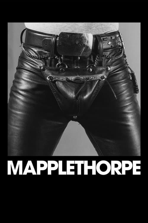 Mapplethorpe afişi